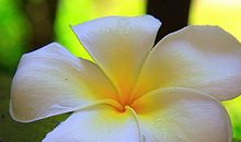 发财变得容易，赚得钱花不完的生肖，11月赚钱有良机，财源滚滚