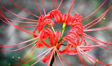 往后3个月闷声赚大钱的4属相，事业风生水起，职位连升，遍地开花