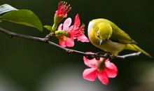 本周开始，4属相红红火火，运气一帆风顺，财运滚滚而来