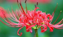 下周开始有财神入驻家门，4属相有大作为，事业有成，小金库爆仓