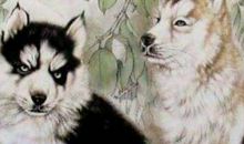 2020年6月生肖属狗运势，凶星“病符”作乱使健康运较差