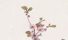 2020年4月26号四月初四出生的人性格命运解析，五行八字查询