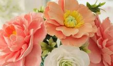 2020年5月和6月生肖属狗和生肖属猪订婚黄道吉日查询