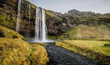 最值得男人爱的3大生肖女，娶了她们就不再漏财