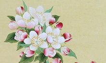 2020年4月25号四月初三出生的人性格命运解析，五行八字查询