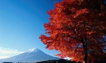 3月2日后，闷声不响，大发横财，咸鱼翻身的五个生肖