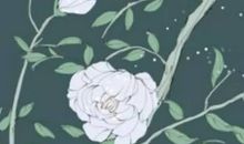 2020年12月18号出生的男孩起什么名字寓意好，宜用什么字