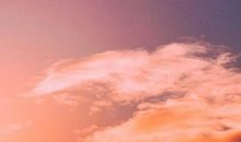 【周运 3.02~3.08】巨蟹天秤事务繁忙，处女狮子感情和谐