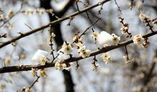 未来一个月，被财神眷顾的3个生肖，三番四次发大财