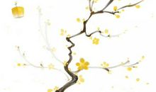 生肖属蛇的妈妈和什么生肖属相的孩子是六合，蛇和猪六合