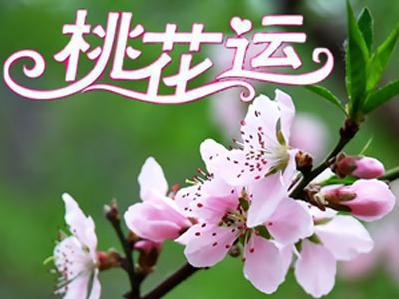 2016年十二生肖桃花运排行榜