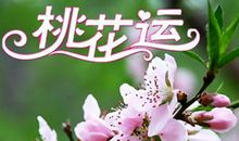 2016年十二生肖桃花运排行榜