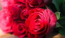 1月1号开始衰运到头，感情走稳，财运走高的生肖，实现致富梦