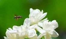 命中最不缺金钱的生肖，未来3年横财运不断，躺着都能赚大钱