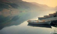 2020年财运旺盛，事业如日中天，恭喜发财的5个生肖