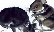 2020年6月出生的鼠宝宝好带吗，他们性格外向，运势很好