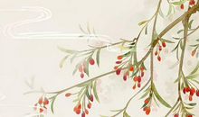 生肖属兔的妈妈和什么生肖属相的小孩是三合