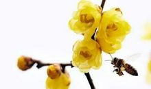 最不好骗的3生肖女，天生“预言家”，第六感超强，简直是个人精