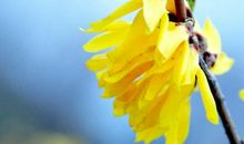 财神不请自来，福气临门！元旦开始运势飙升，福禄双至的3大生肖