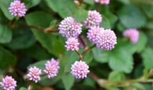 跟女友相处中理解知冷知热，温柔体贴的生肖男