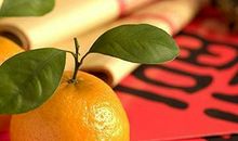 未来一星期内，财富暴增，日进斗金的3大生肖