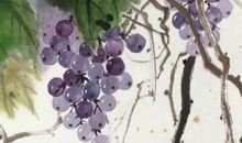 生肖属兔爸爸和什么生肖属相的孩子是三合，六合