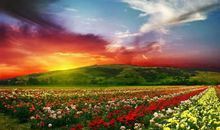 未来10天，4生肖前途光明，偏财大旺，日子苦尽甘来