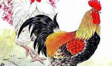 11月，生意红火的3个生肖，事业旺盛，咸鱼翻身好事临头