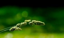 和吃醋没关系 特别独立的四大星座