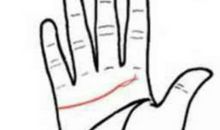 感情线分叉有什么含义，寓意感情容易出现变故