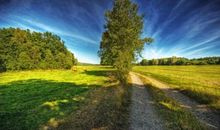 11月金库满满，事业畅通，福气傍身的四个生肖