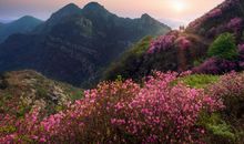 三月咸鱼翻身，事业兴旺，财运发达的四大星座