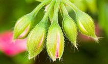 3月2号后，开启好运，事事顺心，运势大旺，福禄寿三全的5生肖