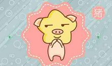 本周生肖猪运势（3.2-3.8）