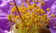 11月大财稳赚，小财不断的生肖，财运丰厚，以后生活蒸蒸日上