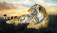 这三个生肖的人，一辈子福禄双全，必享荣华富贵！