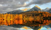 房子风水不好怎么破，摆放植物可以改善室内风水