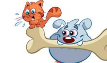 1982年属狗生人运势及运程男命女命 2020年38岁属狗佩戴什么