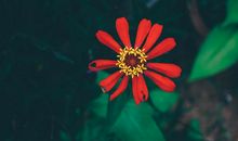 惊喜！横财天降，1月下旬一夜暴富，横财赚足百万的3生肖