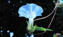 人际关系中，这三个星座虽不强势，但我行我素，没人能约束了他们