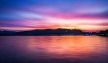 家中有4个生肖，11月升官发财，泰来否往，事业如鱼得水