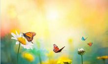 立冬之后，用麻布袋装大钱！下周开始，前有贵人、后有靠山，横财滚滚来