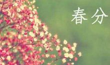 春分节气出生的属鸡人命运好吗 是什么命？(图文)