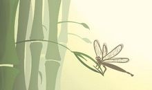 紫微斗数看谁会嫁贵婿 有什么特点