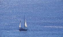 1月下旬起运势好转，吉星高照，财运高涨，轻松赚大钱的3生肖