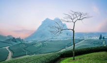 11月捷足先登，火力全开，财运大开的四个生肖