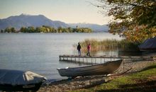 下个月鸿运当头，运势爆棚，喜事接踵而来，事业如日中天的3生肖