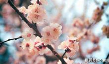 最会过日子的四个生肖女，一心一意为家人着想，生活越过越富裕