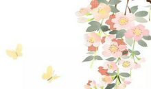 生肖属猪的妈妈和什么生肖属相的小孩是三合，猪与兔、羊三合