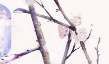 2020年5月19号四月二十七日生的男孩命运好吗，取什么名字好